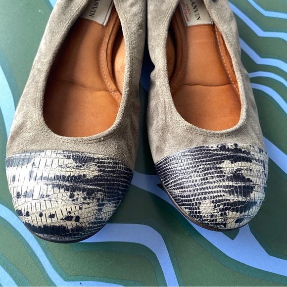 LANVIN 🩰 EUC greige suede ballet flats with snakeskin cap toe - Picture 4 of 10